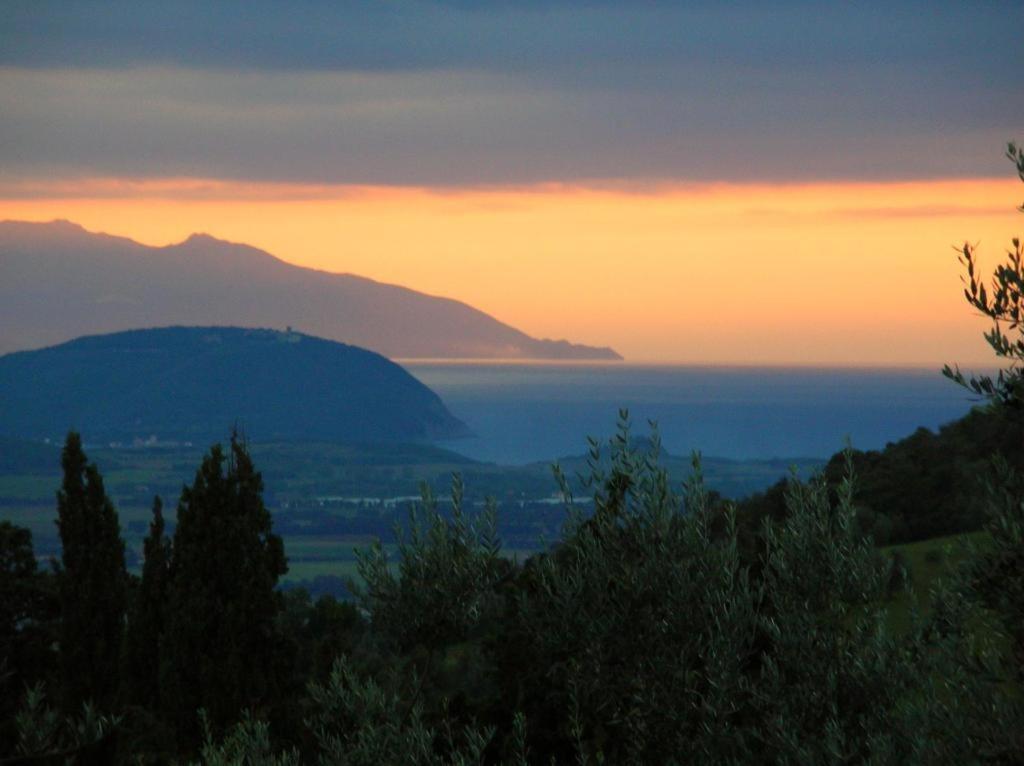 Divacamp Glamping Resort Campiglia Marittima Kültér fotó