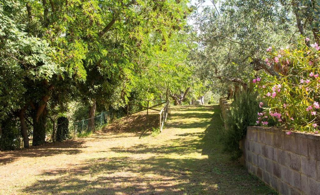 Divacamp Glamping Resort Campiglia Marittima Kültér fotó